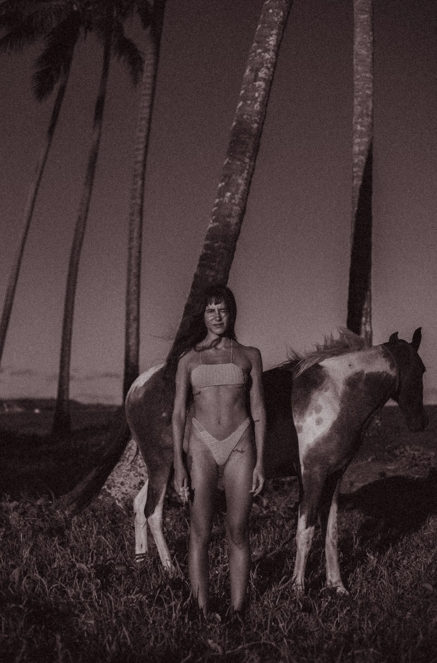 Bikini BM-V - Image 19